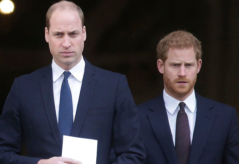 «Он был суперзвездой королевской семьи»: названа новая причина вражды принца Уильяма и принца Гарри