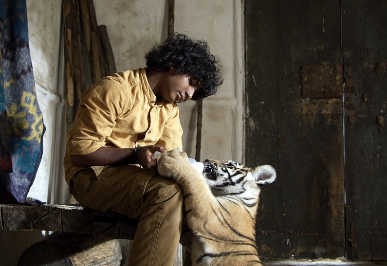 Топ-10 семейных фильмов про дружбу человека с животными