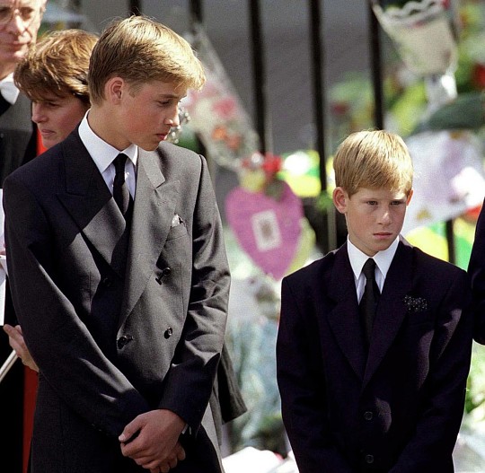 Принц Уильям и принц Гарри
