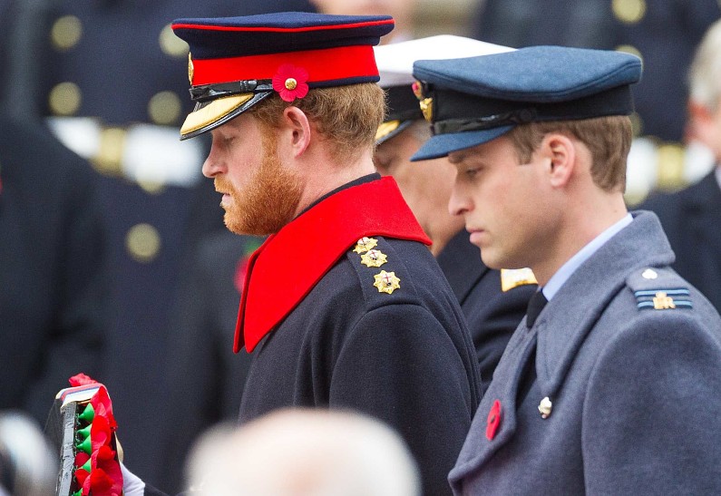 Принца Гарри обвинили в безразличии и агрессии в отношении принца Уильяма