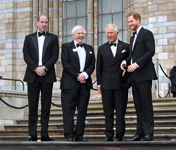 Принц Уильям, Карл III и принц Гарри