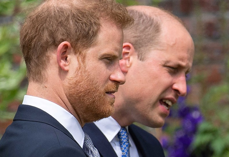 Принц Уильям жестко отреагировал на документальный фильм о жизни принца Гарри и Меган Маркл