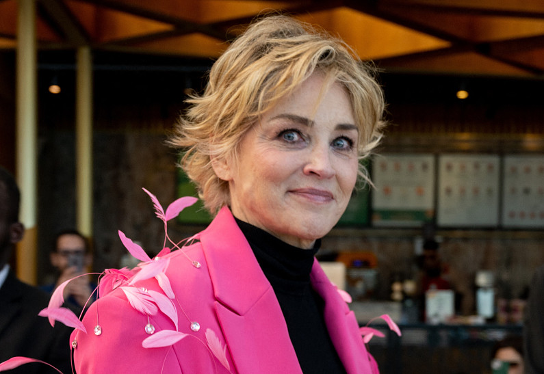 Шэрон Стоун тайно усыновила четвертого ребенка. Подробности!