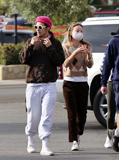 Гарри Стайлс и Оливия Уайлд