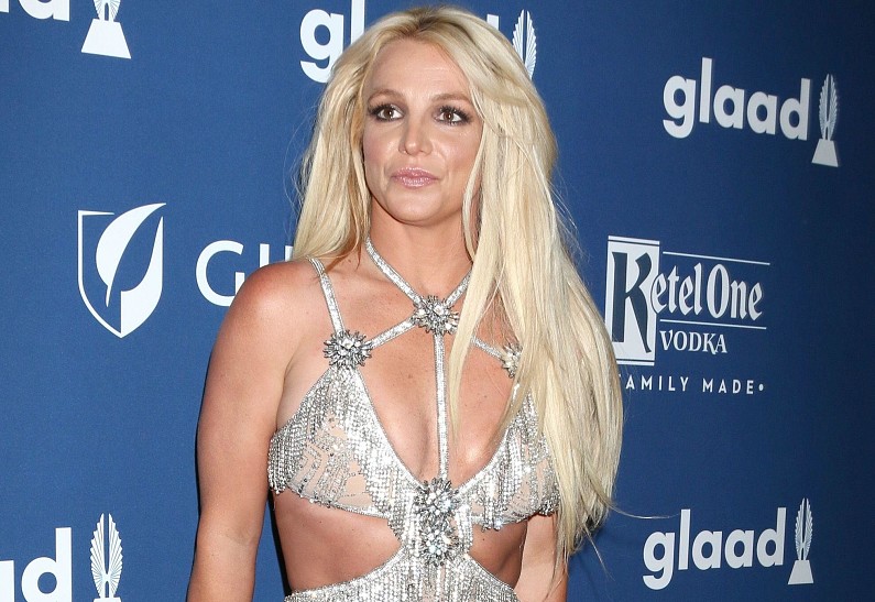 Бритни Спирс планировала увеличить грудь из-за травли отца