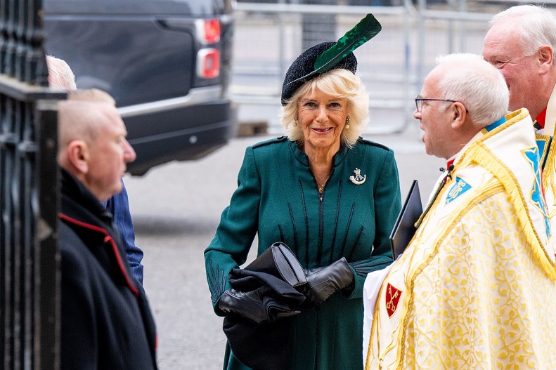 Камилла, герцогиня Корнуольская