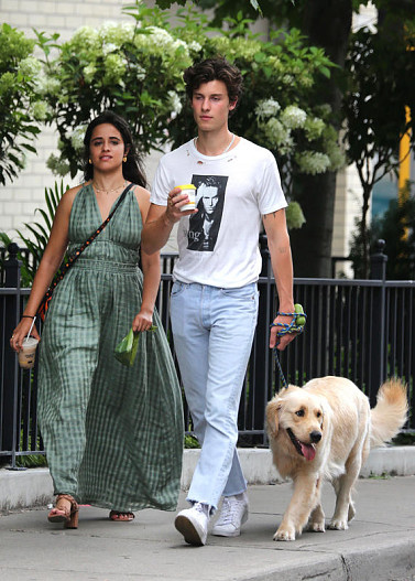 Камила Кабелло и Шон Мендес