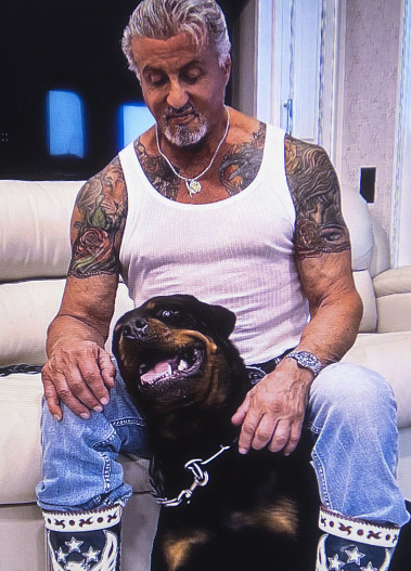 Сильвестр Сталлоне