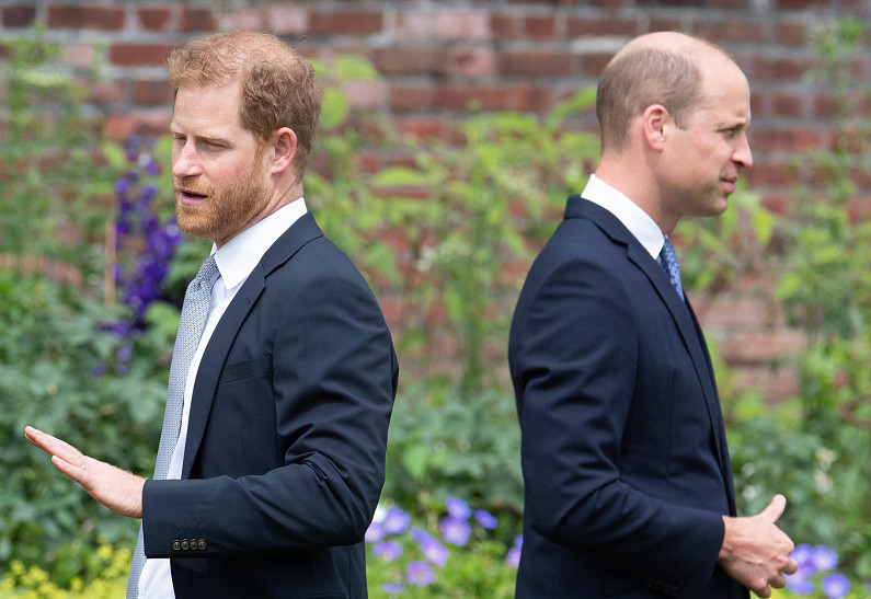 Принцы Гарри и Уильям решили отметить годовщину смерти принцессы Дианы по отдельности