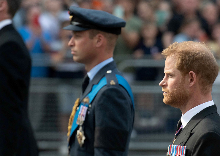 Принц Уильям и принц Гарри
