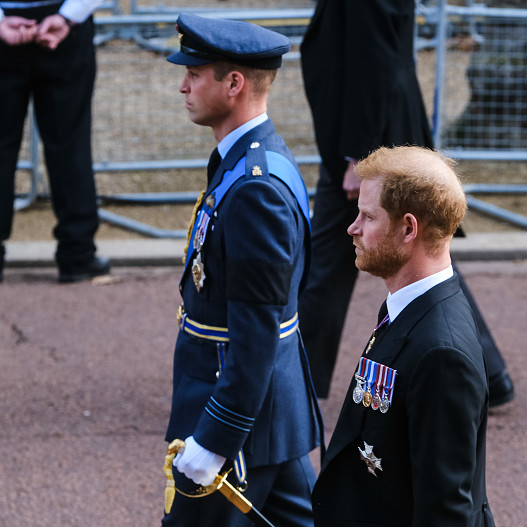 Принц Уильям и принц Гарри