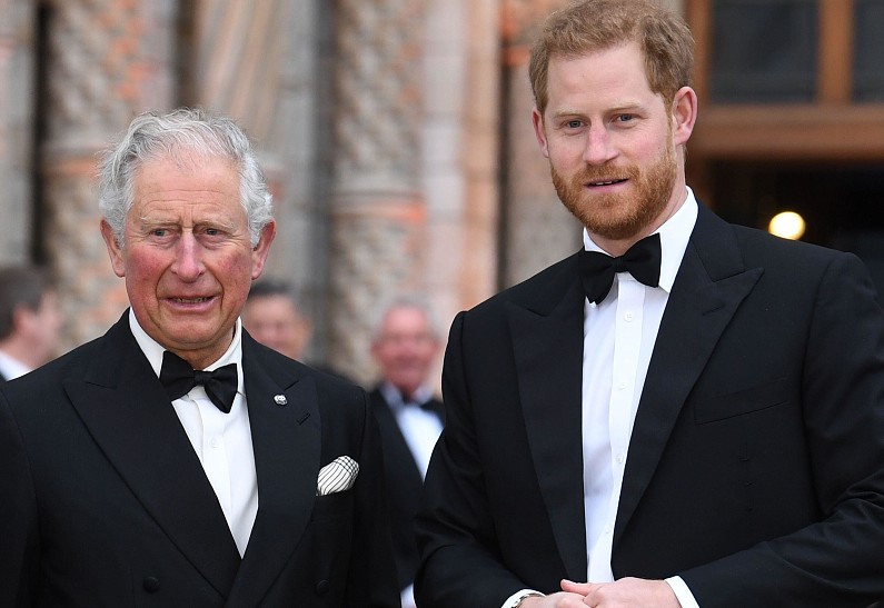 Карл III хочет прочитать мемуары принца Гарри, прежде чем принять решение о передаче титулов его детям