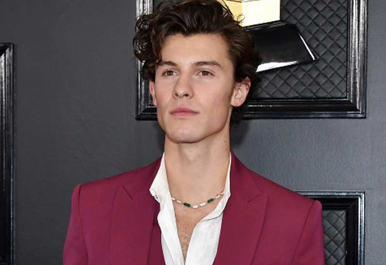 Шон Мендес впервые появился на публике после отмены тура