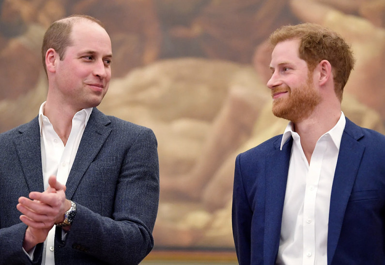 Принц Гарри уверен, что был рожден только для того, чтобы «быть донором» принца Уильяма