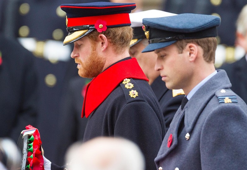 «Он схватил меня за воротник и повалил на пол»: принц Гарри подрался с принцем Уильямом из-за Меган Маркл