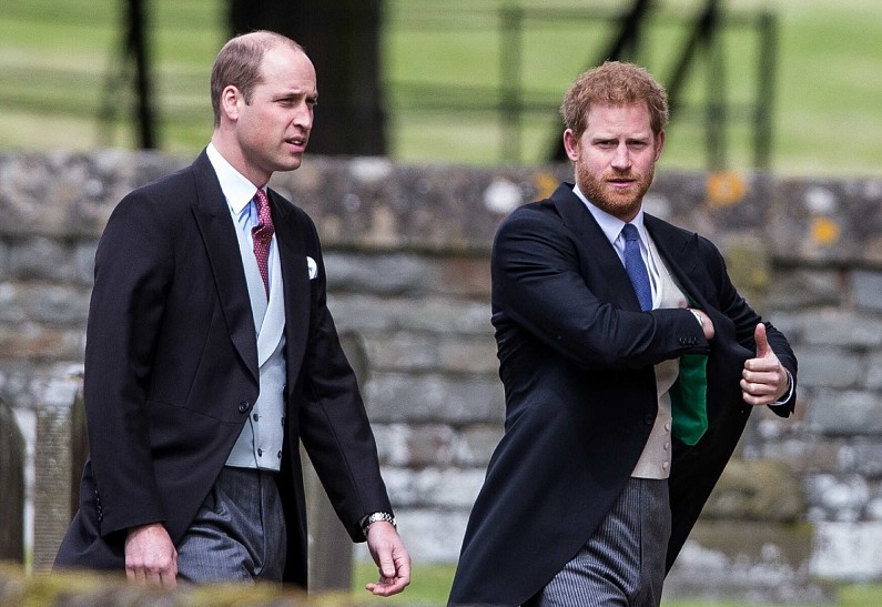 Пропасть между принцем Уильямом и принцем Гарри становится всё глубже