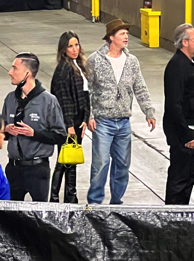 Брэд Питт и Инес де Рамон