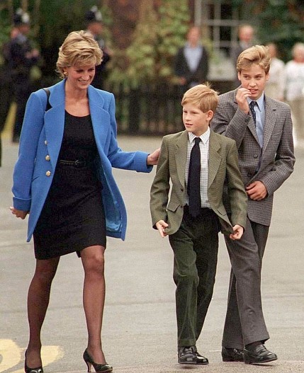 Принцесса Диана, принц Гарри и принц Уильям