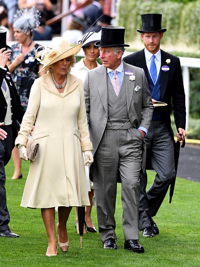 Камилла Паркер-Боулз, Меган Маркл, принц Чарльз, принц Гарри