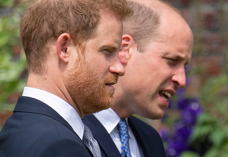 Примирение близко? Принц Уильям публично отдал дань уважения принцу Гарри