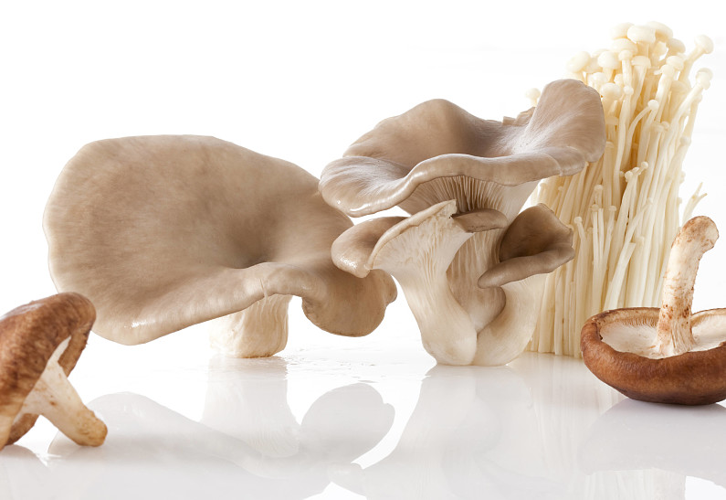 Почему косметологи пошли по грибы?