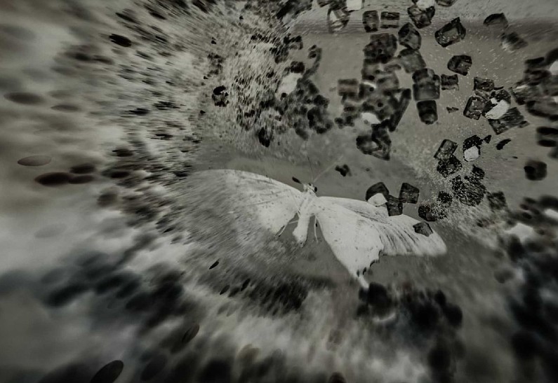 «Чернее ночь, значит, скоро рассвет»: вышел сборник Afterdark в поддержку подопечных Фонда Хабенского