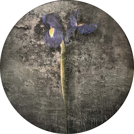 Юрий Купер: Ирис Холст, акрил