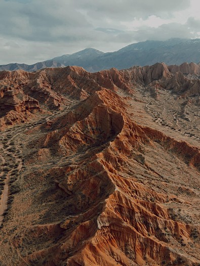 фото: Марина Пономарева