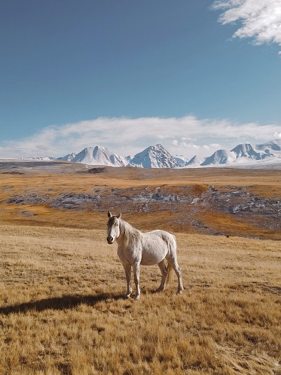 фото: Марина Пономарева
