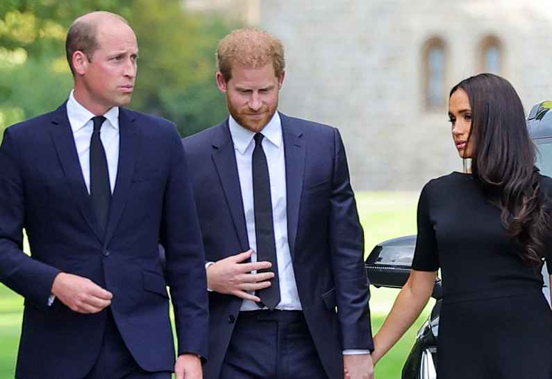 Меган Маркл мешает воссоединению принцев Гарри и Уильяма