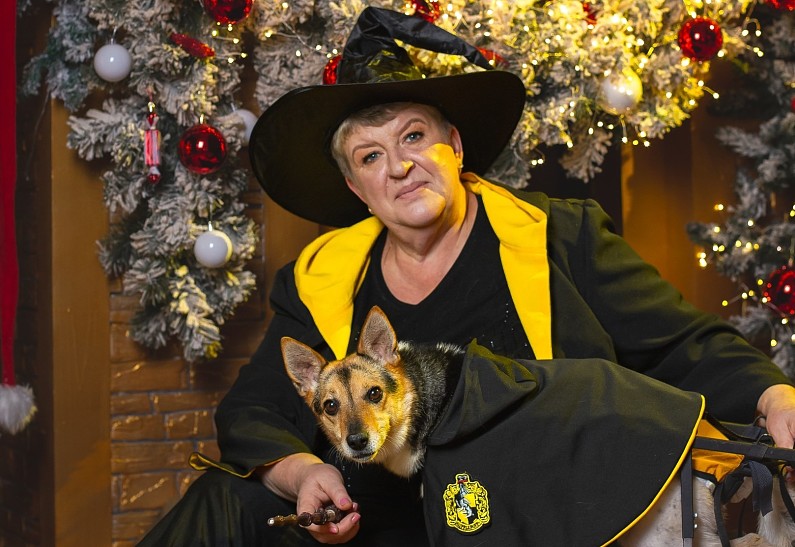 Благотворительный фонд «Рука помощи бездомным животным» запустил креативную новогоднюю акцию