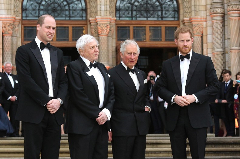 Принц Уильям, Карл III, принц Гарри