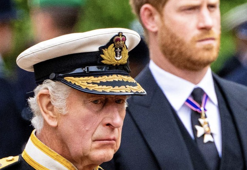 Стало известно, почему недавняя встреча Карла III и принца Гарри в Великобритании оказалась такой короткой