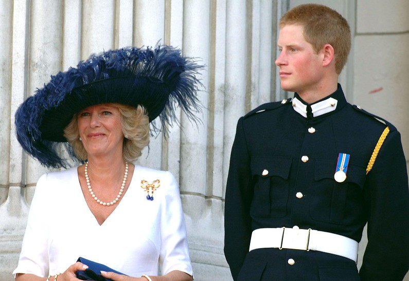 Королева Камилла пришла в ярость из-за неподобающего поведения принца Гарри