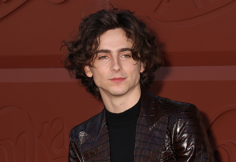 Тимоти Шаламе в образе Боба Дилана попал в объективы фотографов в Нью-Йорке