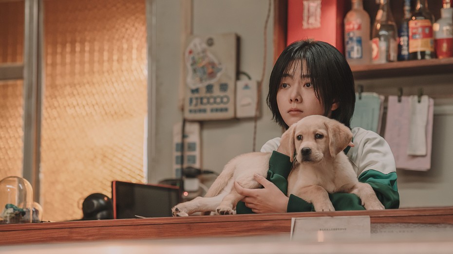 В российский прокат выйдет семейный фильм «Собачья жизнь: друзья навек»
