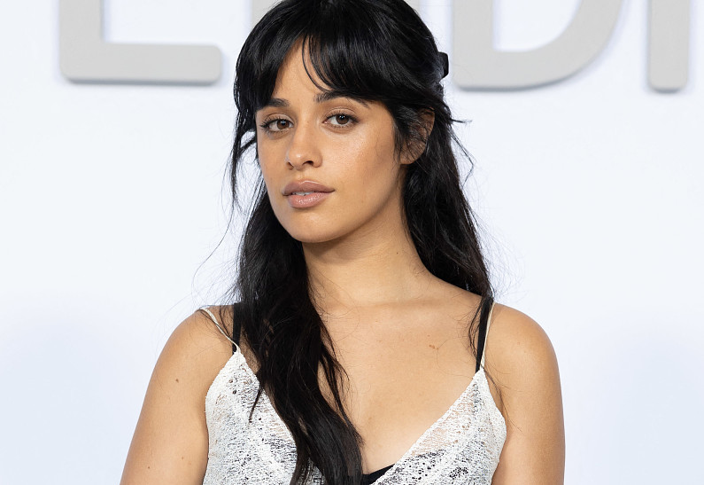 Камила Кабельо ответила на слухи о романе с Дрейком