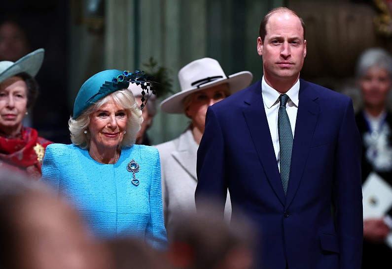 Принц Гарри чувствует себя в опасности из-за растущей связи принца Уильяма и королевы Камиллы