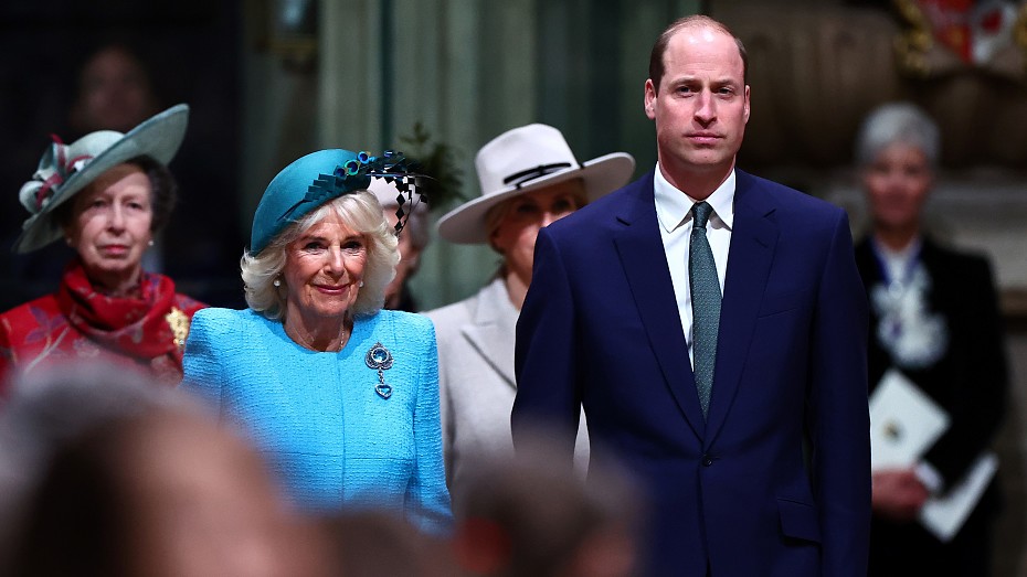 Принц Гарри чувствует себя в опасности из-за растущей связи принца Уильяма и королевы Камиллы
