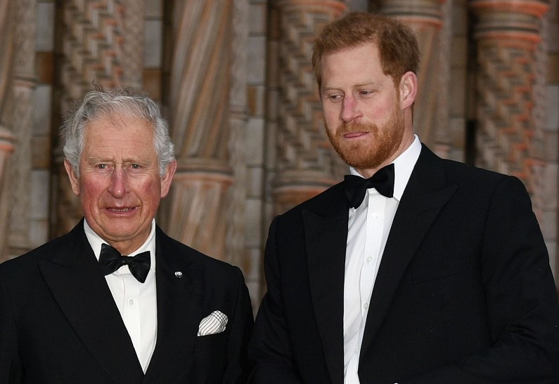 Королевский эксперт рассказал, почему Карл III отказался встречаться с принцем Гарри