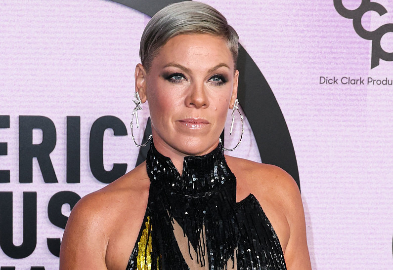 «Мне очень жаль»: певица Пинк отменила концерт из-за проблем со здоровьем