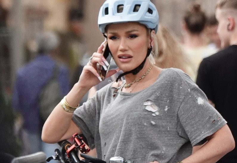 Гвен Стефани получила травму и отменила концерт