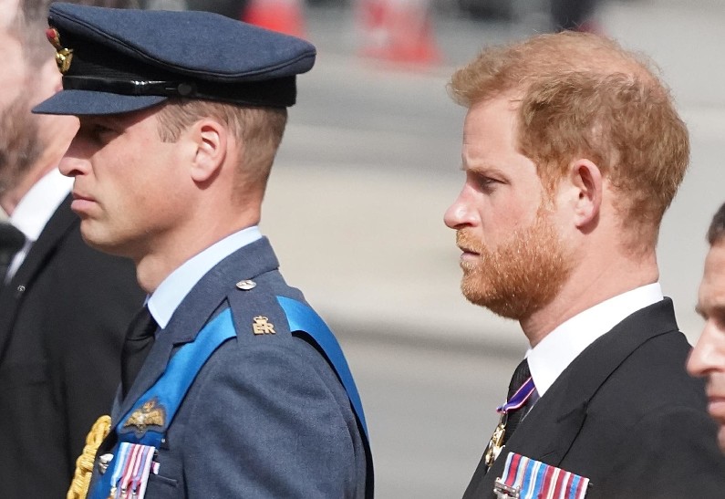 Принц Гарри снова вывел из себя брата: принц Уильям намерен сделать заявление