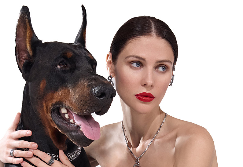 Собаки и красивые украшения — идеальное сочетание