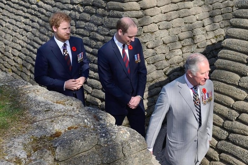 Принц Гарри, принц Уильям, король Карл