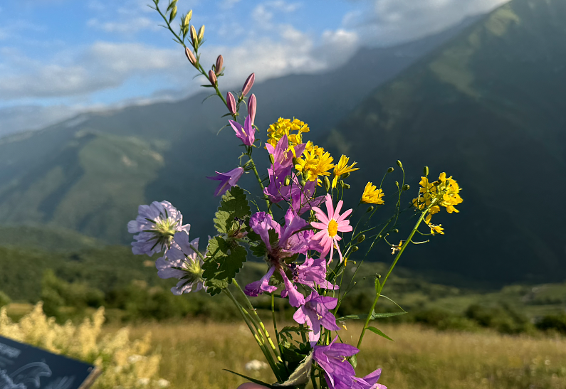 Новые маршруты Северного Кавказа