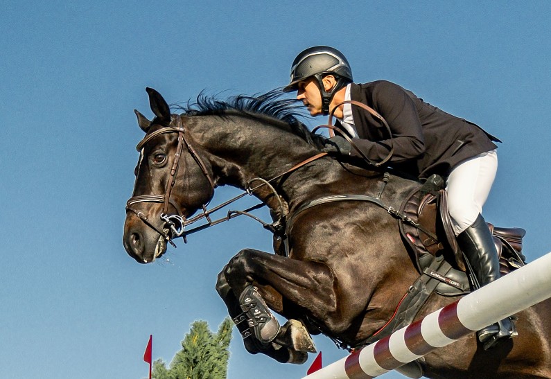 Девелопер BN Group провел второй международный турнир  «КОНКУР ПО-РУССКИ»