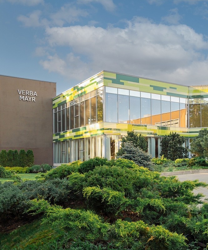 Экологичный детокс: такое бывает?