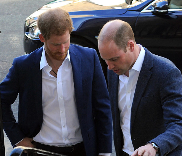 Принц Гарри и принц Уильям