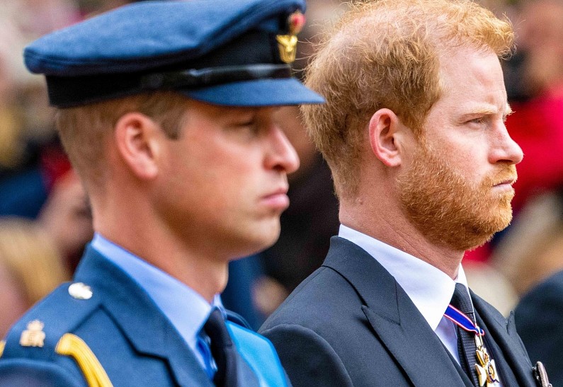 В 2026 году вражда принцев Уильяма и Гарри может достичь кризисной точки